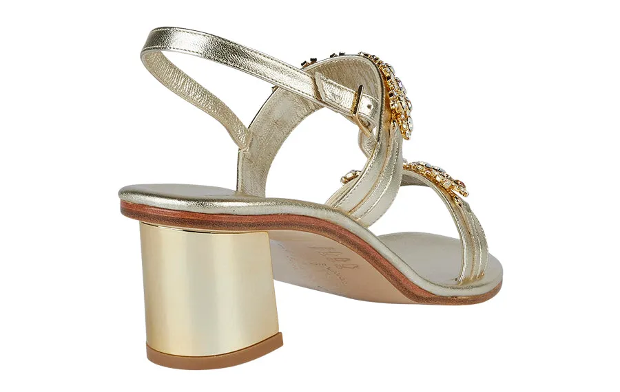 Dr Siena Gold